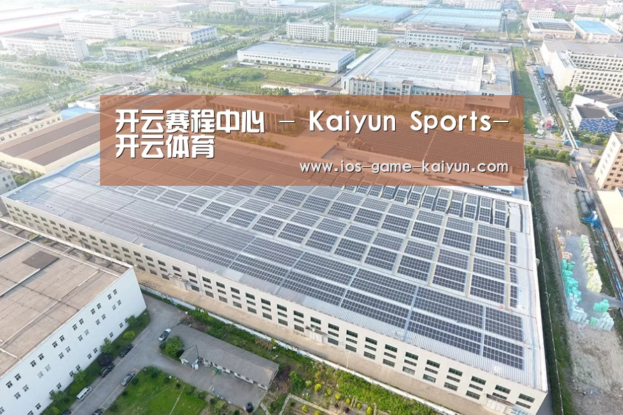 案例展示二