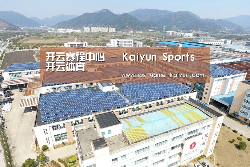 案例展示四