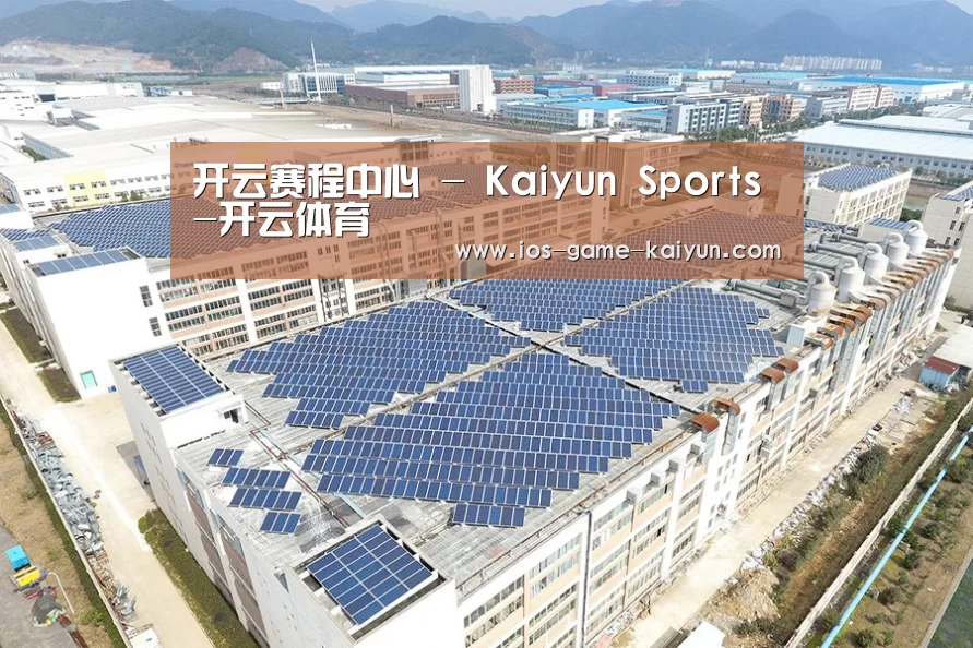 案例展示四