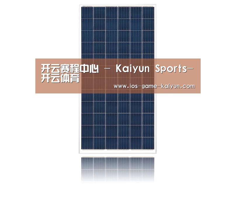 产品名称一