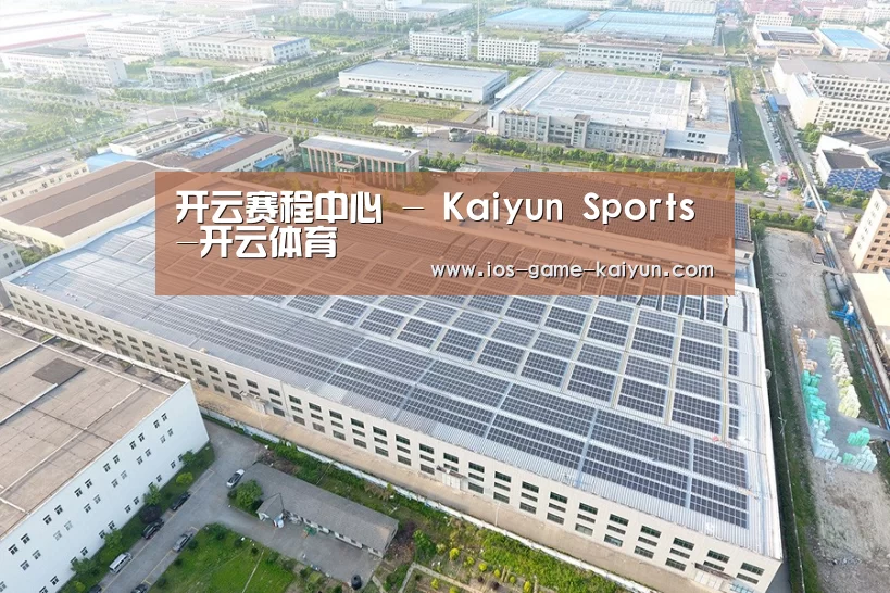 案例展示三