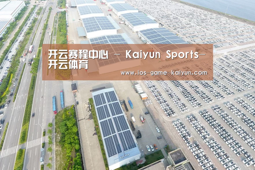 案例展示一