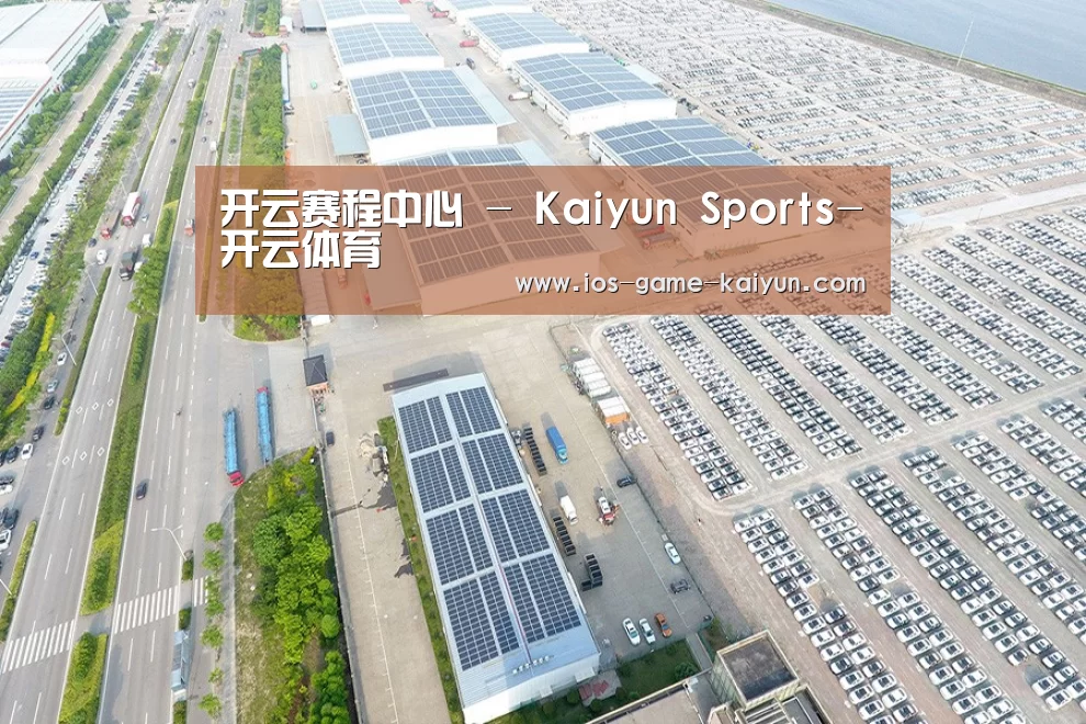 案例展示三