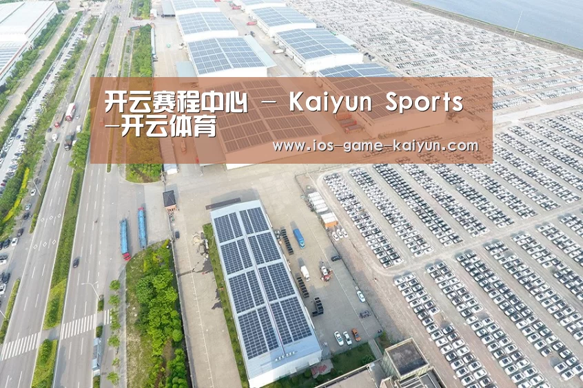 案例展示二