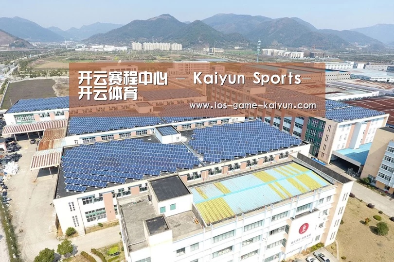 案例展示三