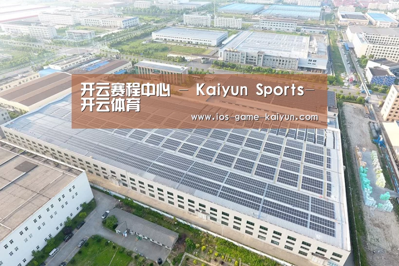 案例展示四