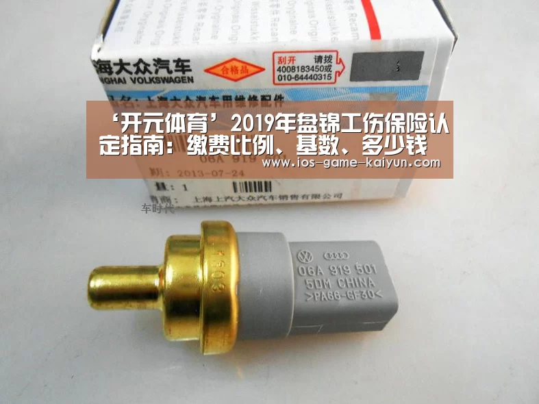 开云下载网址