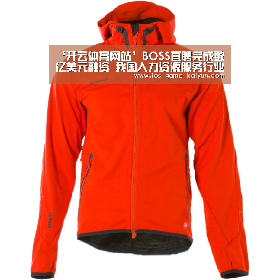 ‘开云体育网站’BOSS直聘完成数亿美元融资 我国人力资源服务行业发展态势良好(图2) 开元体育