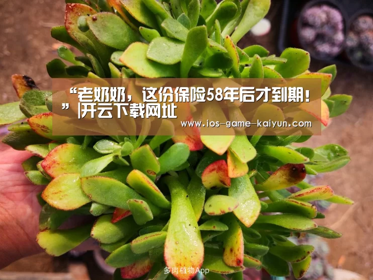 开元体育