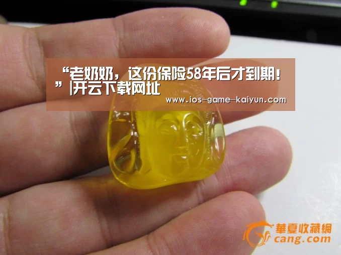 开云下载网址