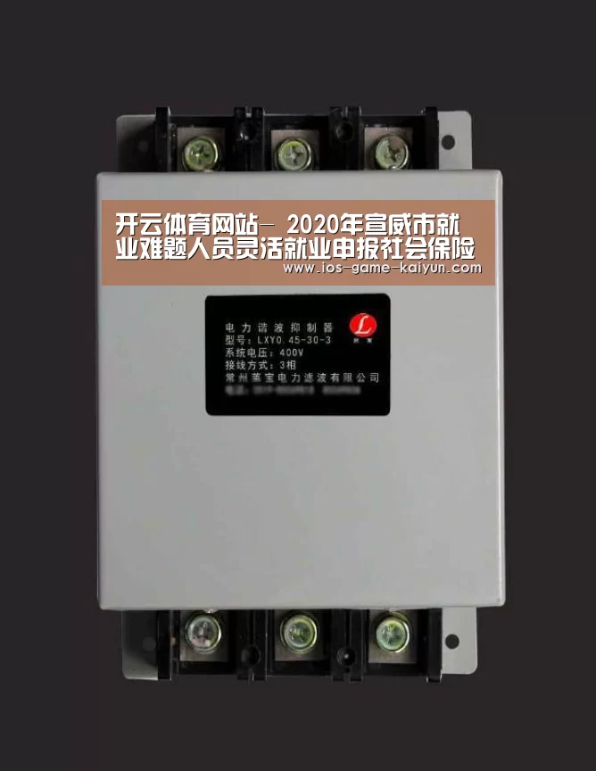 开云下载网址