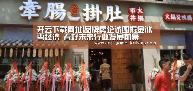 开云体育网站