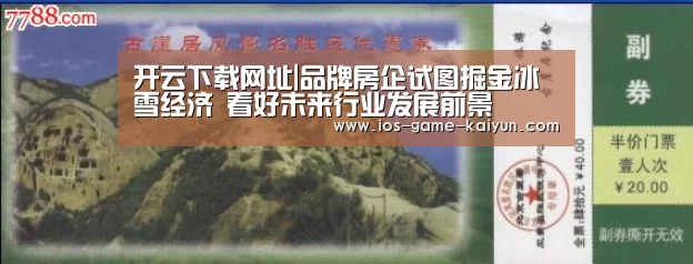 开云体育网站