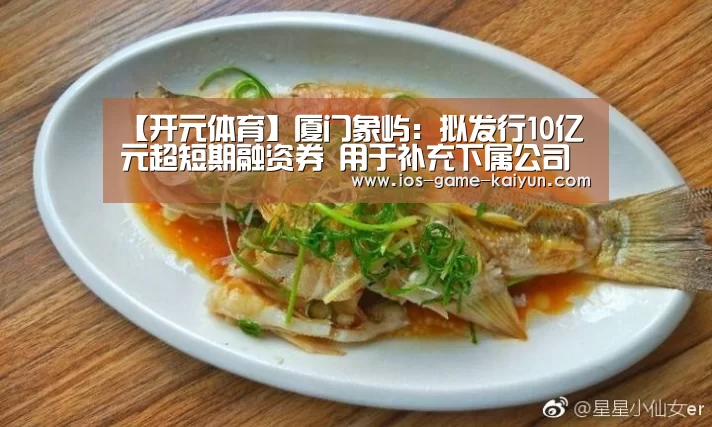 开云下载网址