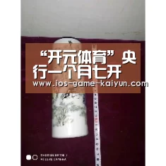 开云体育网站